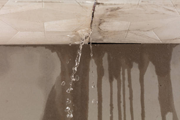Professional Sewage Cleanup technician working in Holland, MA